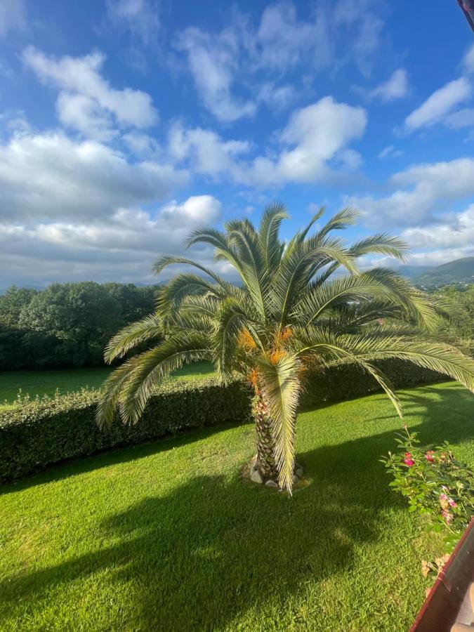 Appartement Vue Sur La Rhune サール エクステリア 写真